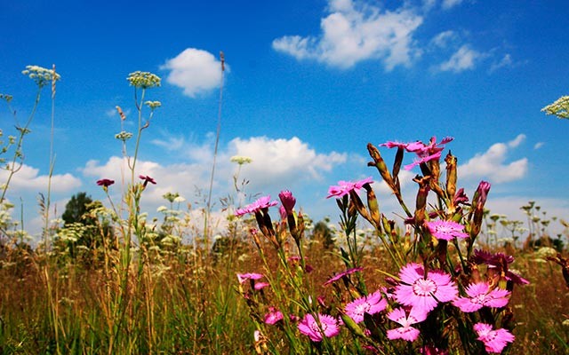 Время вперёд на две недели