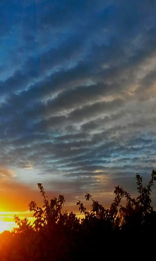 Под Москвой