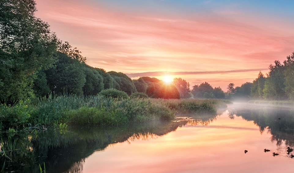 А хочется, в сущности, мало