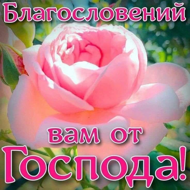 13 августа. Мысли вслух