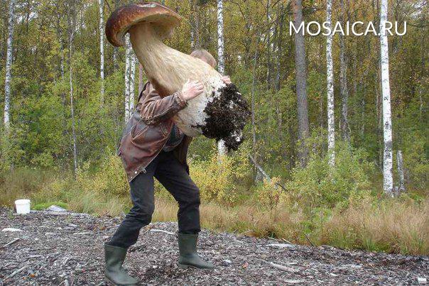 Андрею Михайлову, ч. 3