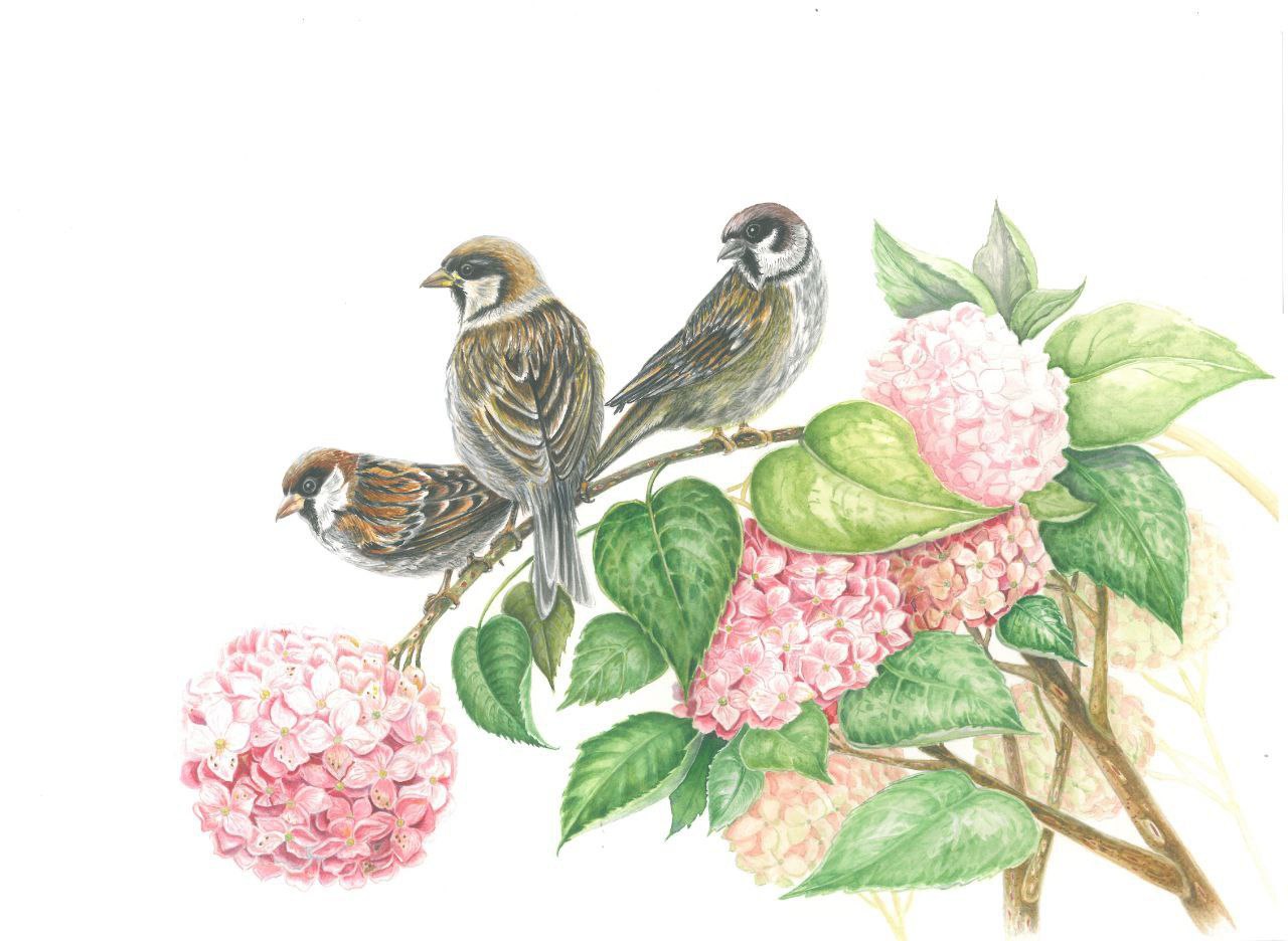 Лето пролетело... Неужели?