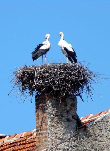 Когда Ангел плачет