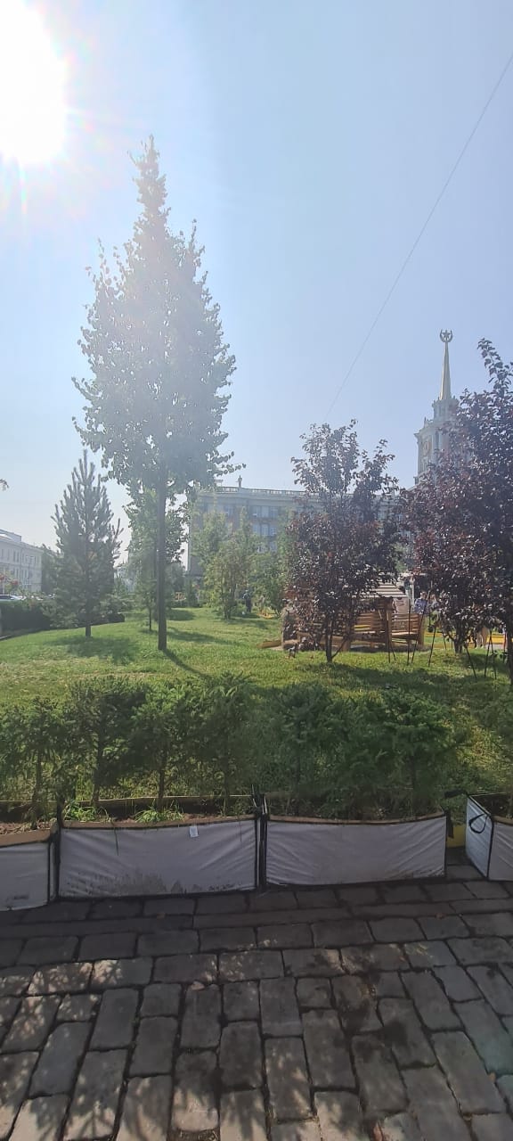 Какого дни августа цвета?