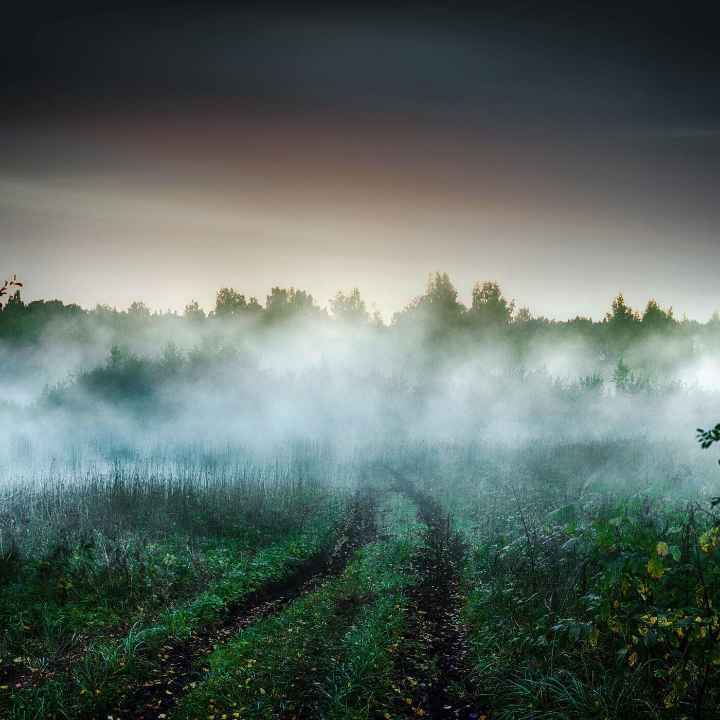 Туман (Оля Шишкина) / Стихи.ру