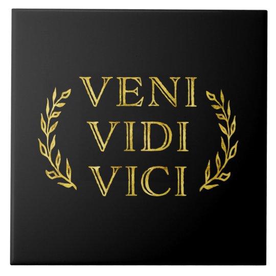 Veni vidi vici пришел увидел победил. Veni vidi vici герб. Veni vidi vici перевод. Veni vidi vici тату. Veni vidi vici картинки.