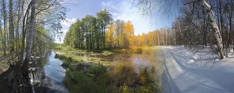 Времена года