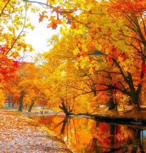 Пусть будет осень безгранична