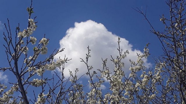 Летняя жара