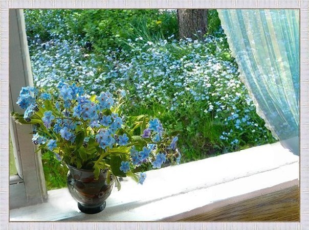 Не обмани, сентябрь!