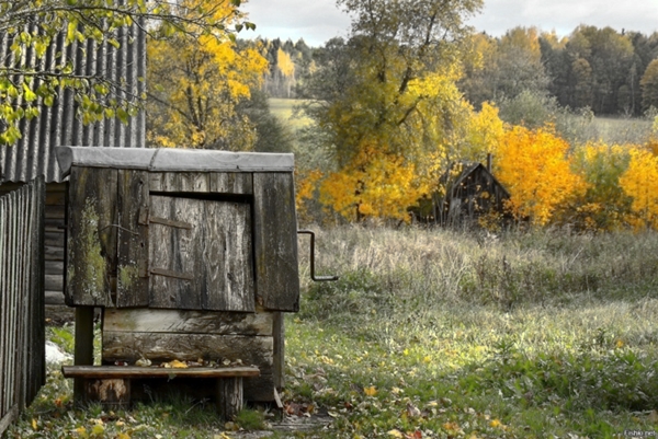 Вроде живём дома...