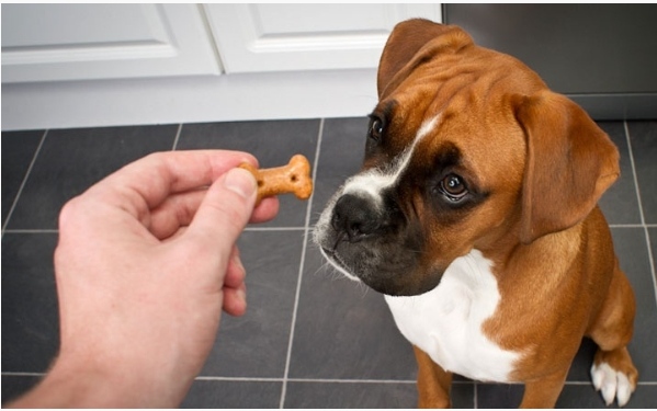 Человек служебный