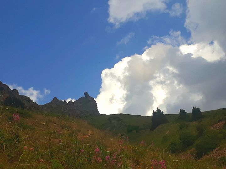 Благодарить