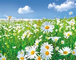 Я хочу возвращаться домой