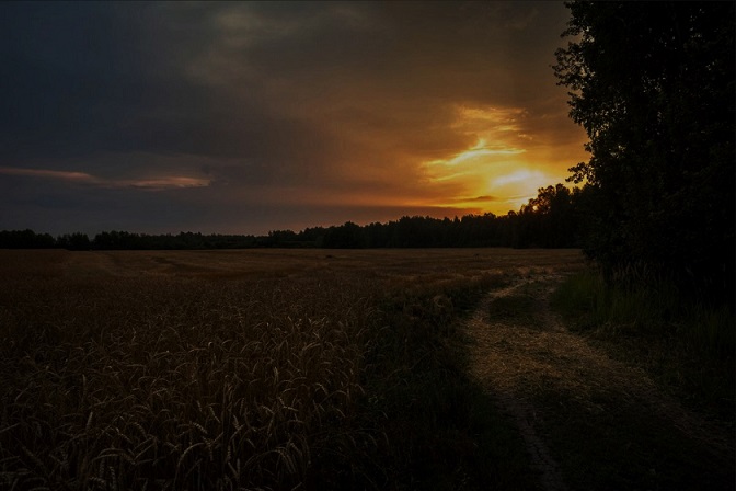 Торопится вечер, стихая