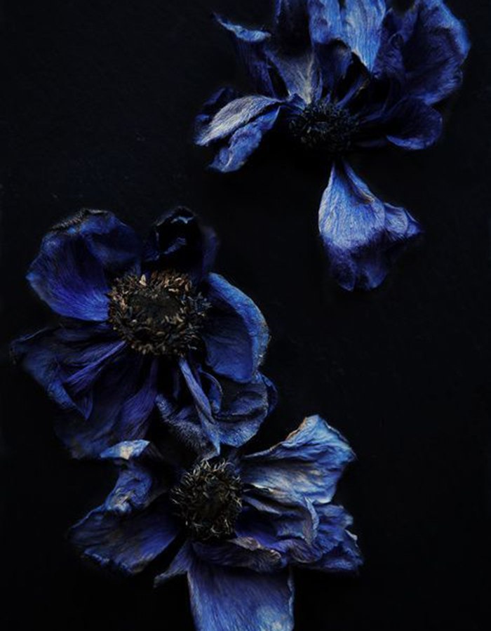 Ночной диалог