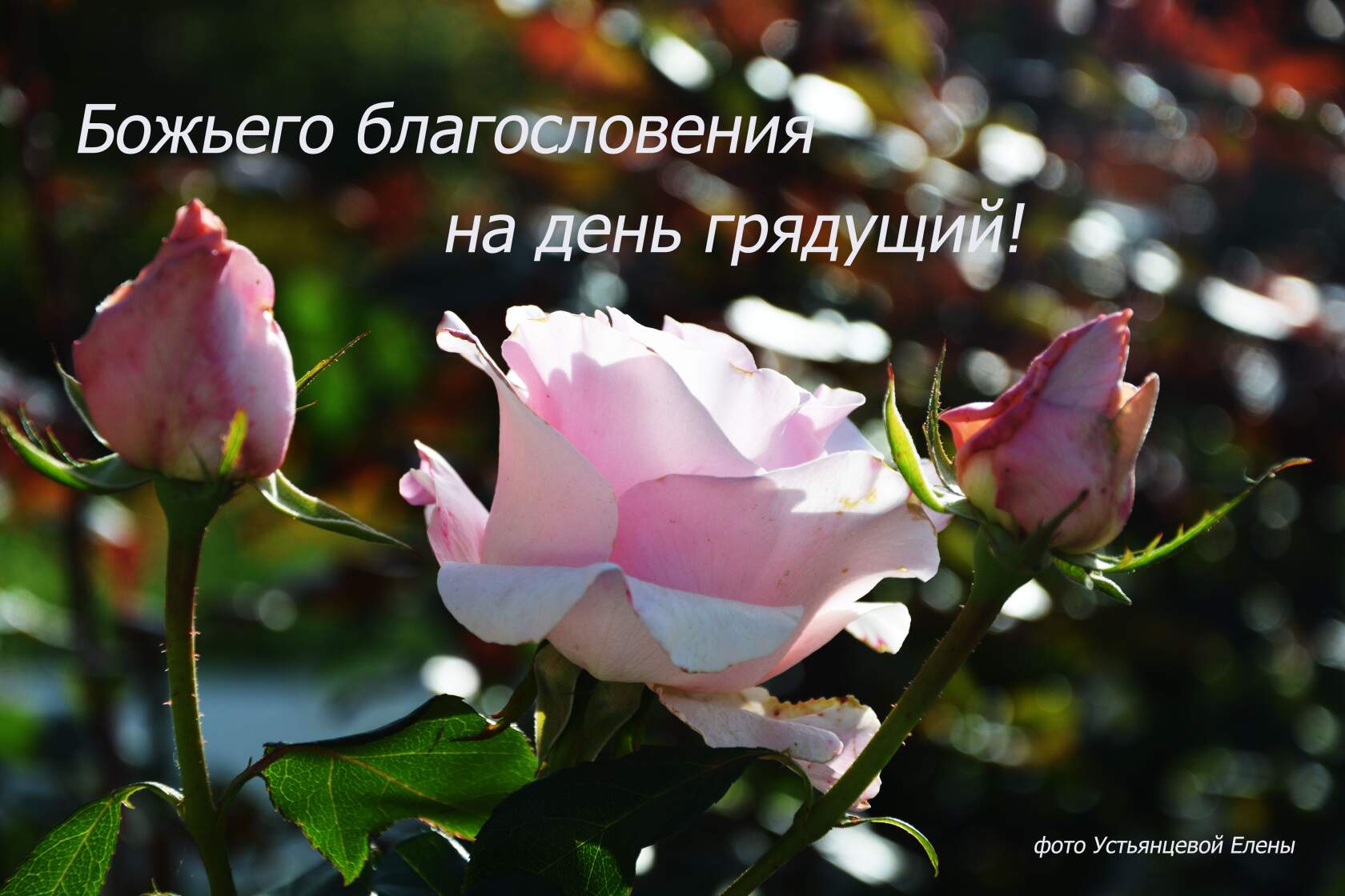 Надежда через страдание. Праведный Иов