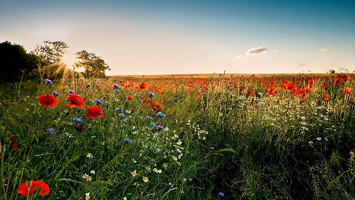 Идёшь по полю! Не спеша!