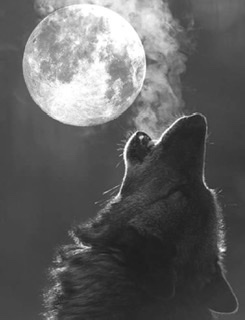 Самодостаточная Луна