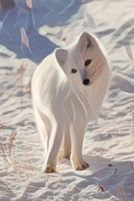 Аврал на работе