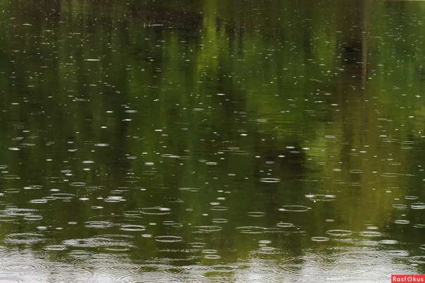 Капли-слёзы