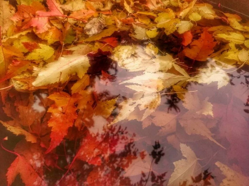 Властвует искусство