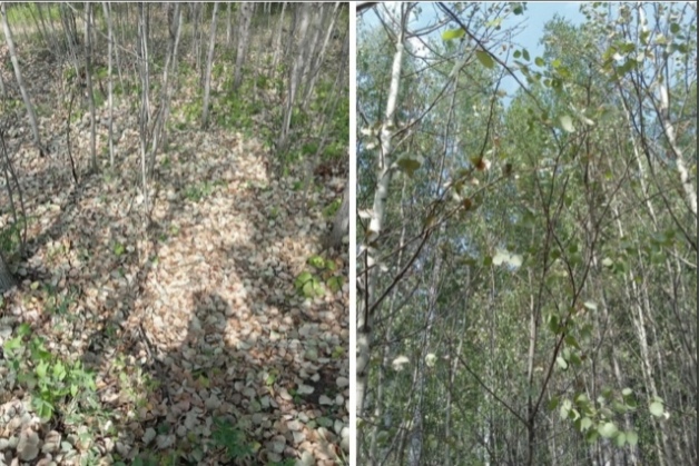 Случайно встретилась с ней...