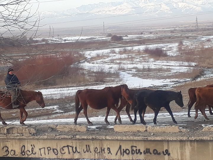 Талантливым людям