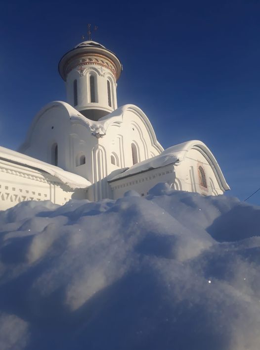 Жалость