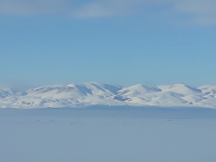Щёки
