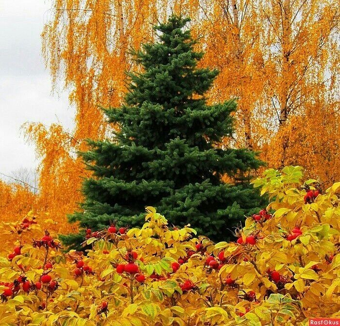 Вот и сентябрь...