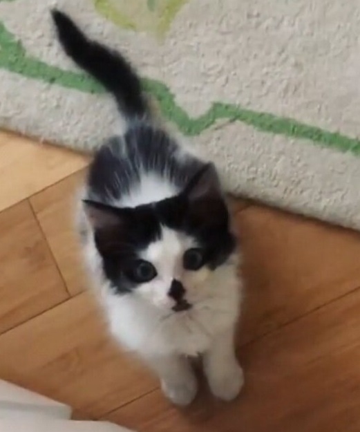 Сказка Ане Щербаковой