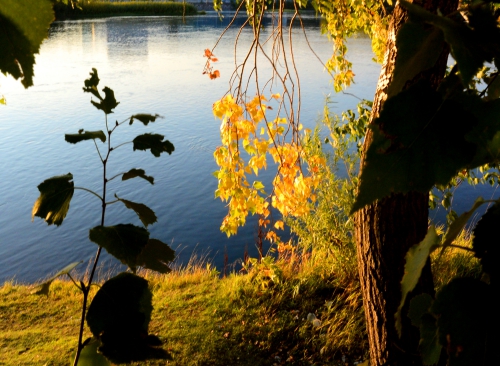 Даётся нам не то, что просится...