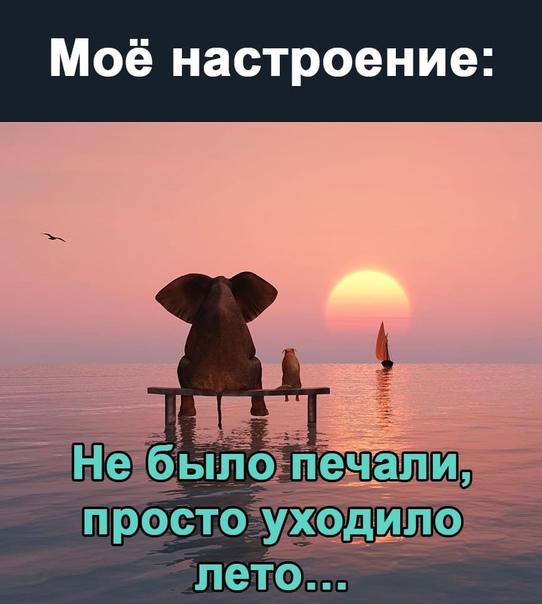 31 августа. Уходит лето тихими шагами...