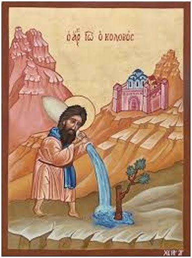 Плод послушания