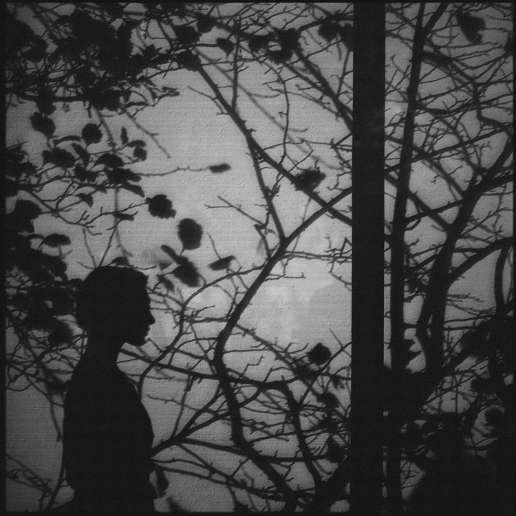 Узоры на стене. Девушка тень от кружева. Тень от тюли. Креативные фотопортреты. Кружевная тень.