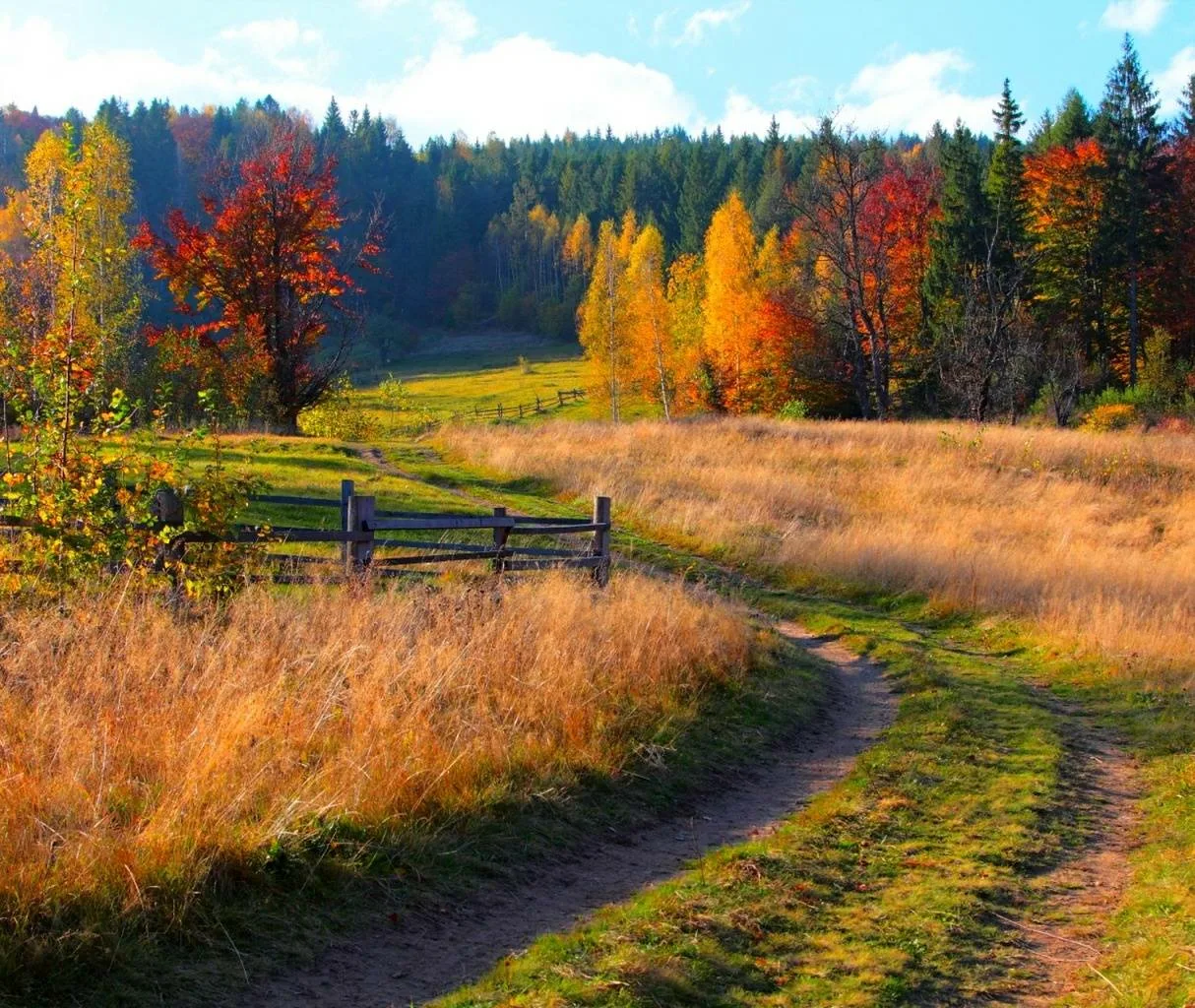 А завтра Осень