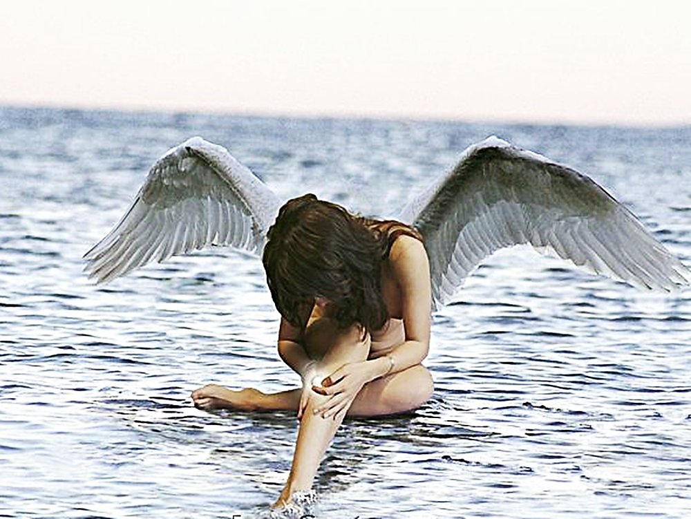 Любовь страдает песня. Девушка лебедь. Стих про Крылья у женщины. Стихи про Крылья души. Красивые высказывания про Крылья.