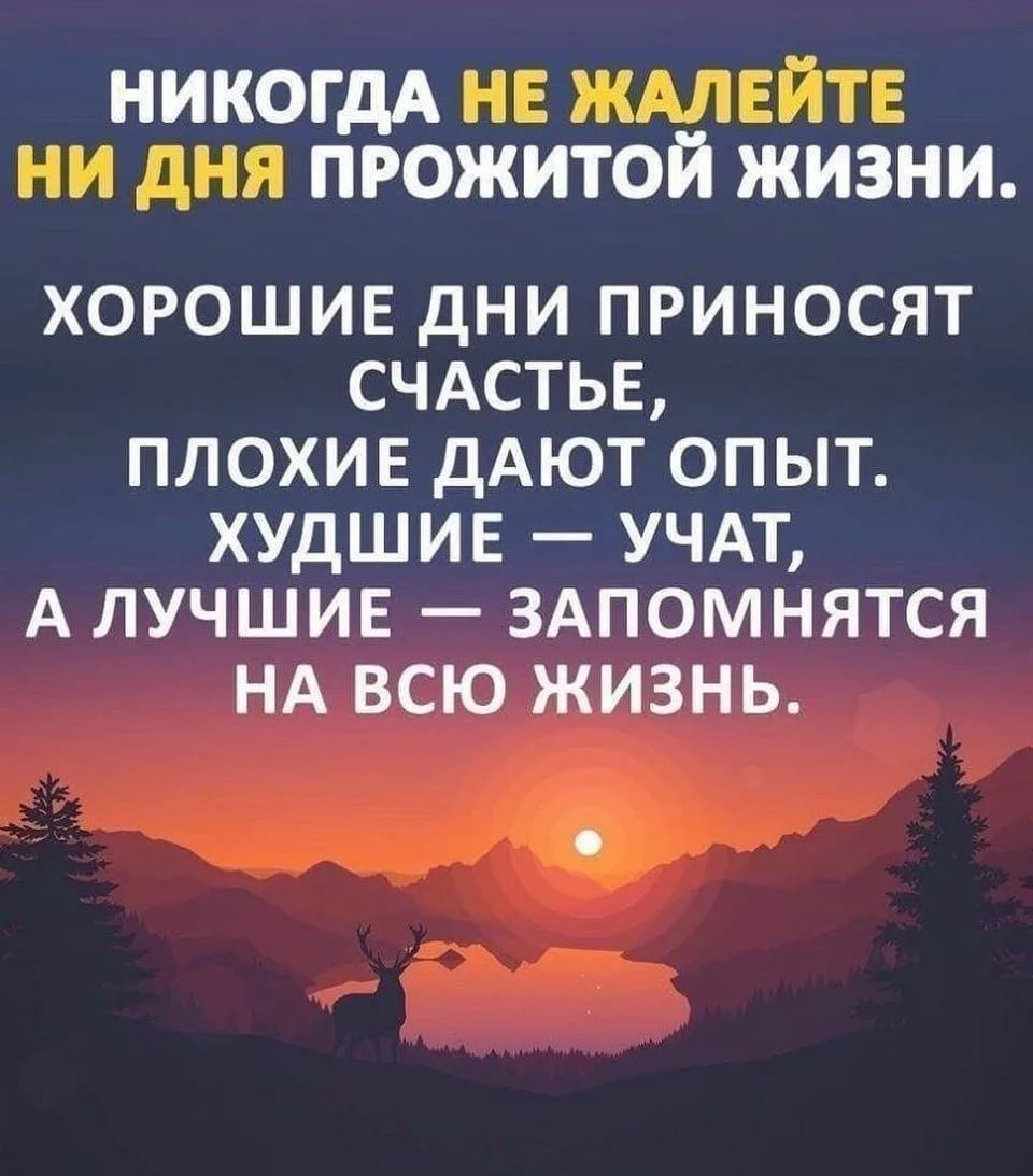 Не жалейте прожитые годы. Не жалейте прожитые годы. Высказывания про возраст. Стихотворение стареют не только от прожитых лет. Афоризмы о старости и мудрости.