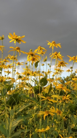 Прощальное