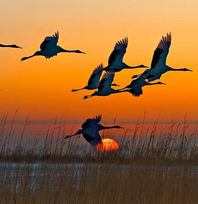 Вот и осень...