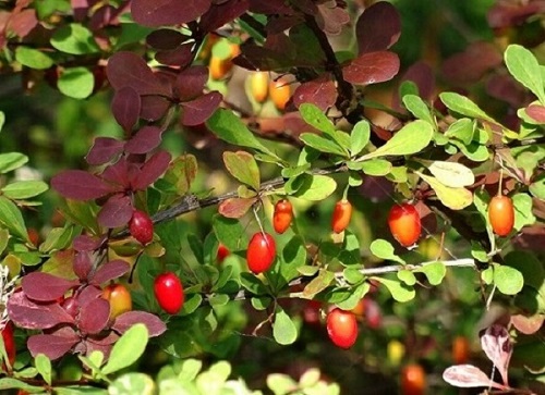 Осень время прощать