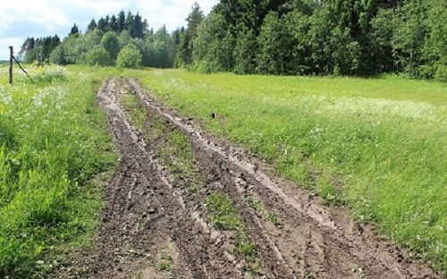 Я тот же самый