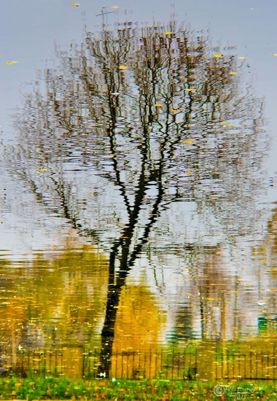 Этюд осенний