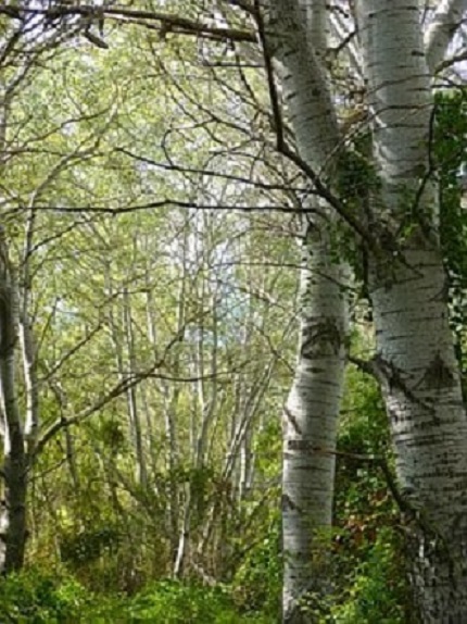 Как мы с тобой