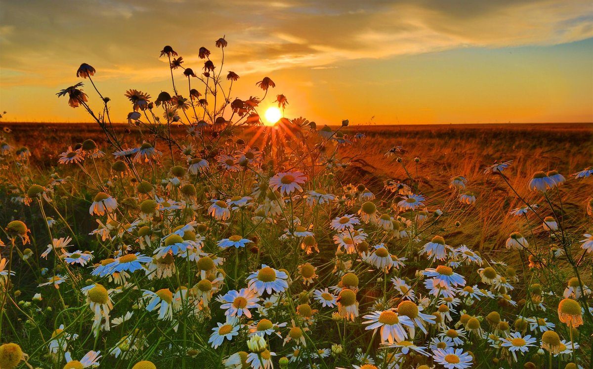 Aх, как мог он целовать!