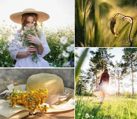 Сбежало лето