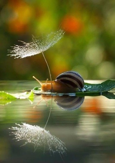 Чудесные подарки!