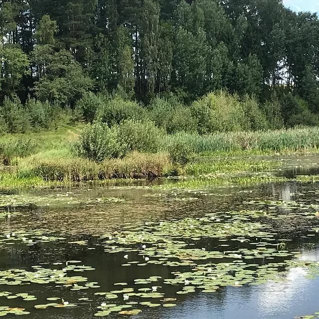 Седого неба лик угрюмый