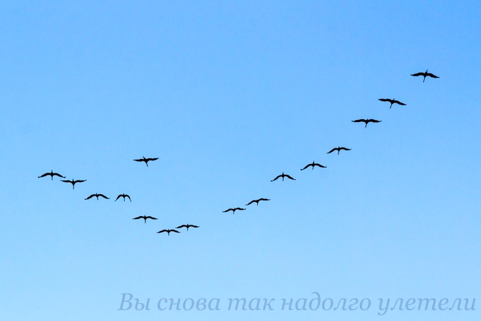 Валентина Силава Я тчу iз чорноji куделi полотно..